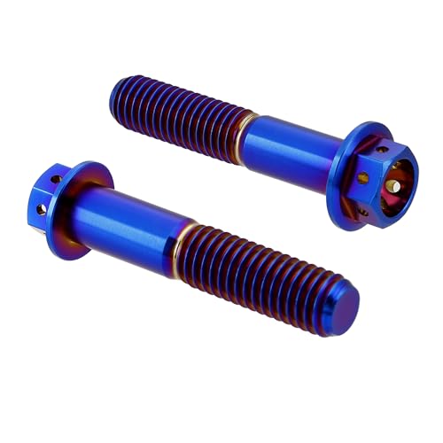 Image of Rison Titanium Flanged Hex Head Bolt - M8x1.25x30mm, 6AL4V Aerospace Grade, Burnt Blue, Pack of 5