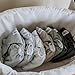 Nora's Nursery AWJ Cloth Diapers 7 Pack with 1 Wet Bag - Waterproof Cover, Washable, Reusable & One Size Adjustable Pocket Diapers for Newborns and Toddlers - Morning Dew
