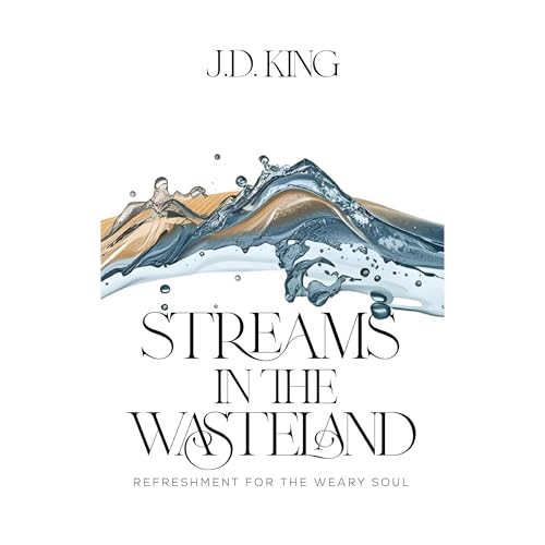 Streams in the Wasteland Audiolibro Por J.D. King arte de portada