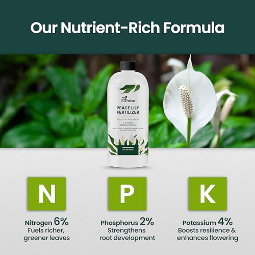 Fertilizante líquido para planta Peace Lily 16 oz miniatura 4