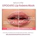 SPODARE Blueberry Lip Mask Overnight, Vegan Skincre, Dual-Color Lip Balm for Reduce Fine Lines, Nourish and Hydrating Dry Cracked Skin with Vitamin C and Shea Butter-0.42 Fl Oz
