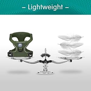 Poypet Reflective Soft Breathable Mesh Dog Harness Chokefree Double Padded Vest with Adjustable Neck and Chestmilitary Greens  Cucciolini Doodles Poypet reflective soft breathable mesh dog harness choke free double padded vest with adjustable neck and chestmilitary greens   cucciolini doodles