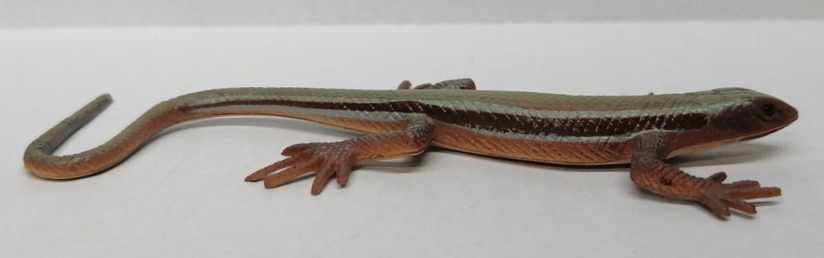 原色爬虫類トカゲ 図鑑 24体セット