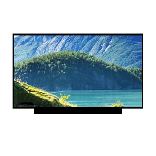 Écran LCD 15,6 Pouces IPS FHD pour Travailler Partout Confort