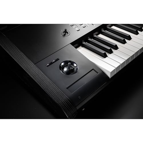 Amazon.co.jp: KORG: シンセサイザー・キーボード