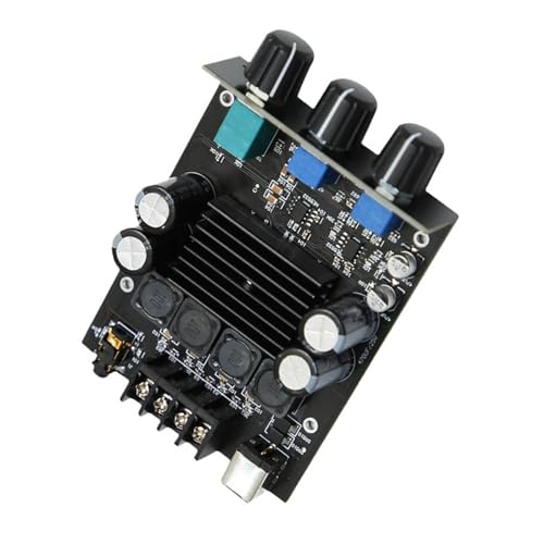 Carte amplificateur de son HIFI 100W classe D pour haut-parleur et système audio de salon