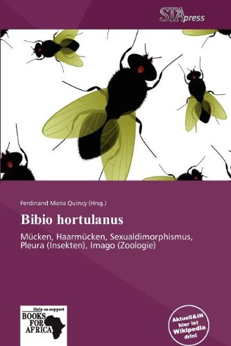 Bibio hortulanus: Mücken, Haarmücken, Sexualdimorphismus, Pleura (Insekten), Imago (Zoologie)