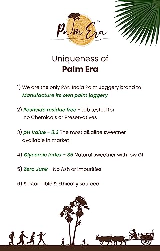 Image of Palm Era Mom And Kids Organic Palm Jaggery Powder 450g | AGMARK Certified | Low GI & Chemical-Free | Fermented Natural Sweetener | Safe, Hygienic & Nutrient-Rich