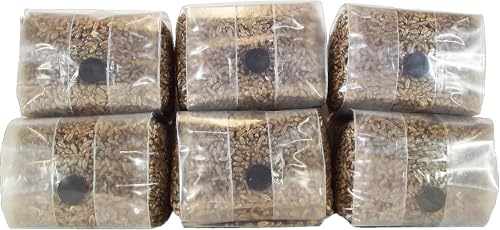 Out-Grow Sterilized Rye Berry Mushroom Substrate with Self Healing Injection Port (6)
