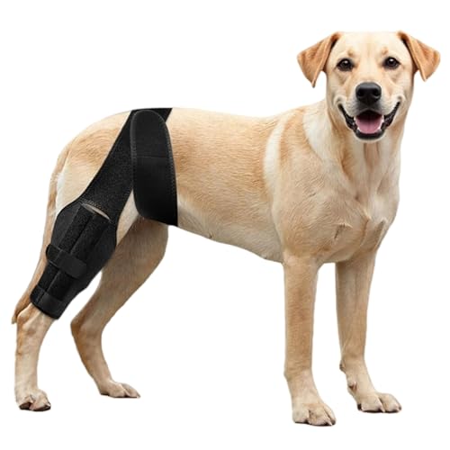 NIUBNKJ Dog Knee Brace for ACL Tear Adjustable ACL Knee Brace for Dogs Front or Rear Leg, Hip...