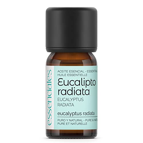Essenciales - Aceite Esencial de Eucalipto Radiata BIO, 100% Puro, 10 ml | Aceite Esencial Eucalyptus Radiata Ecológico