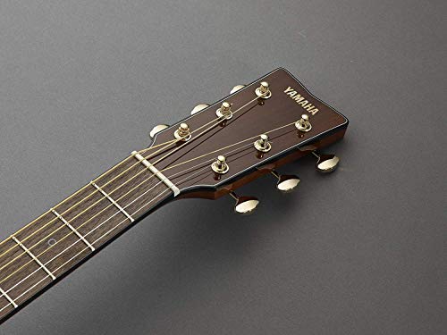 Yamaha STORIA III Guitare Folk Finition Chocolate Brown – Guitare acoustique 4/4 – Pour adultes, débutants ou… - Les Beatles, Paul McCartney, John Lennon, RIngo Starr, George Harrison Yamaha STORIA III Guitare Folk Finition Chocolate Brown – Guitare acoustique 4/4 – Pour adultes, débutants ou… – Image 7