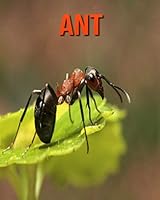 Ant: Fun Learning Facts About Ant B08KQ1K2VP Book Cover