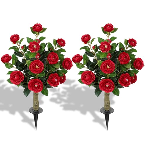 Camellia Tree with Ground Spike