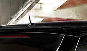 MINI Kurze Sportliche Dachantenne 65202296772