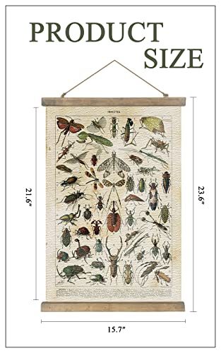 Shoxrem Vintage Poster,Rustic Art Prints, Retro Style Of Wall Hanging For Living Room Office Classroom Bedroom Playroom Apartment Decor. (Insects Entomology 1Panels, 16“ X 24”) #TOP2