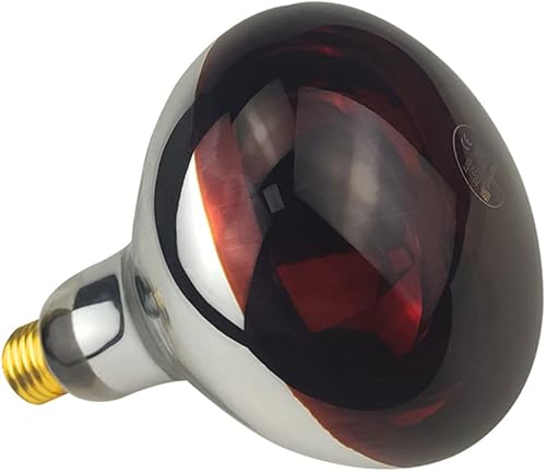 BONGBADA Paquete de 2 bombillas de lámpara de calor R40 de 250 W de vidrio rojo tostado para reptiles, baño, granja, mascotas, pollos, uso de