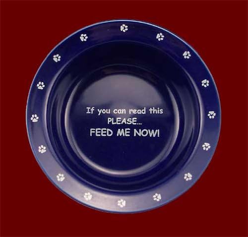 PET CAREE ANT Free CAT Bowl 7 inches Diameter