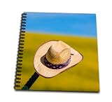 12 x 12 inches spiral bound glossy hard covered 1 inch twin loop wire binding spine 35 unlined pages, 11.4 x 11.2 inches - page thickness is 63lb cover Acid free blank bright white non-coated paper Pages lay flat when book is opened