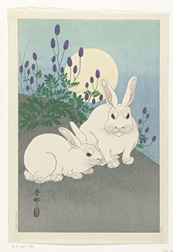 Affiches et Gravures Deux cerfs Ohara Koson Impression Sur Toile Décoration Salon 60x90cm