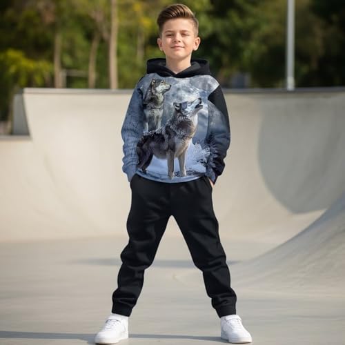 DISNIMO Hoodie and Sweat Pants for Boys Sweatshirt for Kids Clothing Sets Sweatsuits Set Girls Tracksuit Jogger Pants4