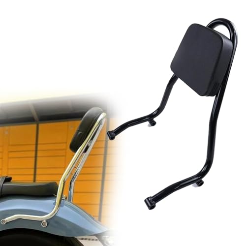 Coussin Dossier Siège Arrière Haute Finition pour Moto BMW R18
