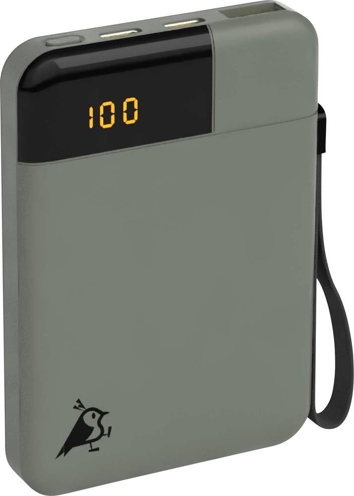 Batterie externe 5000 mAh, 12 W, écran LCD, 2 ports USB-C, 1 port USB-A, chargeur portable, charge pass-through, légère et compacte, surface douce au toucher, Powerbird vert mousse dans un