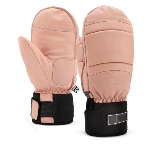 YƃfB[X̃XL[ƃXm[{[h̎܁AhAϊAϖՐ̒g܁AsNAS