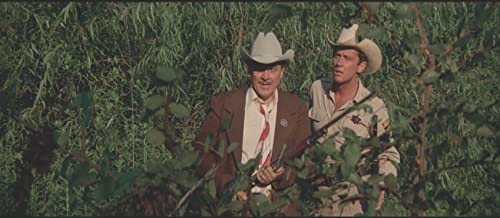 Terreur sur la ville - combo dvd + blu-ray