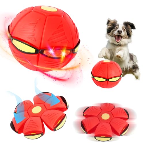 Haustier Frisbee Ball, Fliegender Saucer für Hunde, Outdoor...