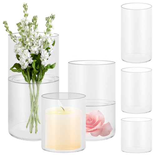 APACALI 6 jarrones de cristal grandes, 10/15/20 cm de alto, cilíndricos, jarrones de cristal transparente, redondos, estrechos, jarrones de cristal transparente para orquídeas, rosas, tulipanes,