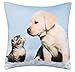 Brandsseller Cojín decorativo con diseño de animales – 40 x 40 cm – Golden Retriever cachorro y gato