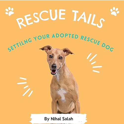 Why does my dog listen to my partner and not me?