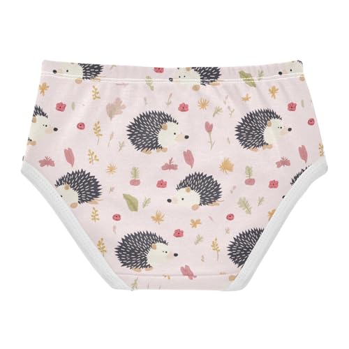 Wusikd Cute Hedgehog Girls' Underwear Cotton Pink Girls Briefs Soft Toddler Underwear 2T2