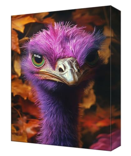 Peinture numéro adulte animal autruche à l'acrylique haute couvrance
