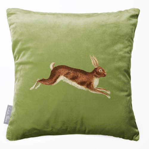 Image of Izabela Peters Hare Recycled Velvet Cushion, Filled, Sage, 40 x 40 cm