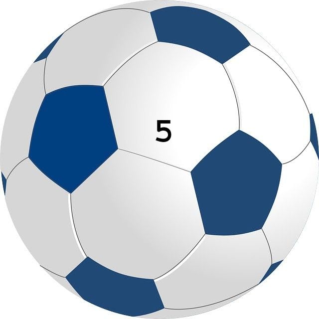Blue and White Premium Football Football - Size: 5 (Standard, Pack of 2)-image-6