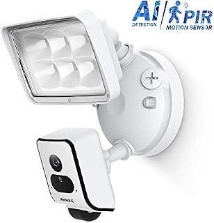 ANNKE AI Floodlight Camera 2.4GHz WiFi Home Security System, Smart Human Detection PIR