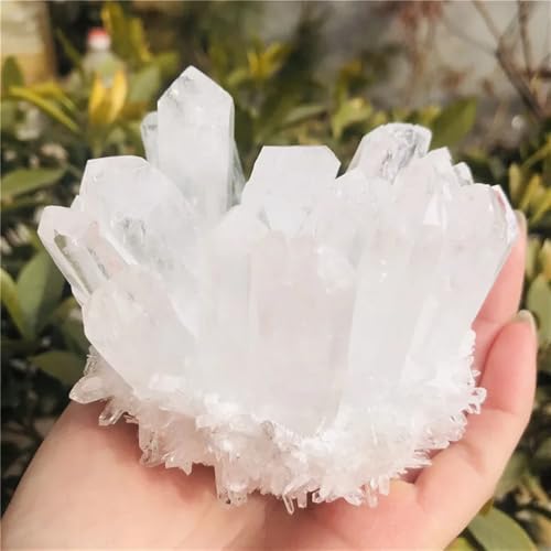 Quartz blanc cristal de roche transparent d'exception de 600g