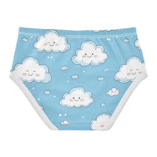 ZZKKO Cute Cloud Blue Sky Girls Underwear Toddler Panties for Girls Comfort Brief Size 2T-8Y2