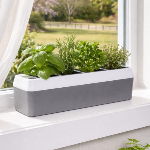Windowsill Herb Planter - Self Watering