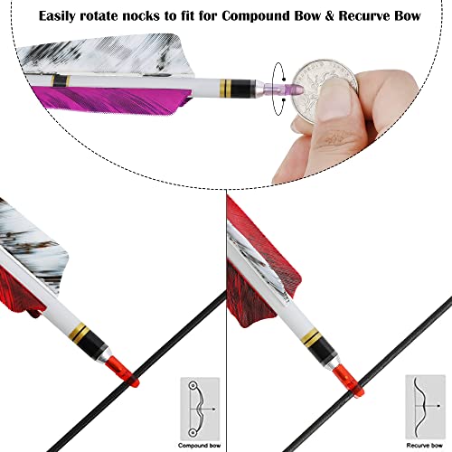 Surwolf 31" Pure Carbon Arrows Archery Hunting Arrows 250 300 350 400 500 600 Spine With Natural Feather Fletched Targeting Arrows For Compound & Recurve & Long Bow 6/12Pcs (Spine 300, Red, 6) #TOP4