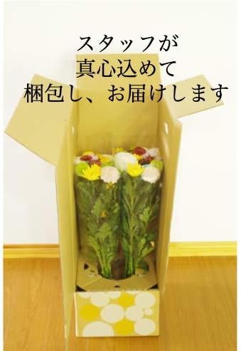 Amazon ８月１０日出荷限定 色とりどり お盆花束セット 10種各2本 2 束 花束 オンライン通販