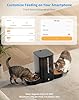 HoneyGuaridan 3.5L Distributore Automatico Cibo Gatti Adatto a Due Gatti, Dispenser Crocchette Gatto Con 2.4G/5G WiFi, Programmabile 6 Pasti al Giorno, Registrazione Vocale 10s, Doppia Alimentazione