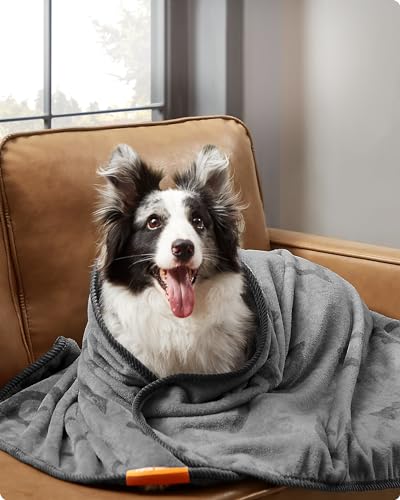 Feandrea Hundedecke, waschbar, 3er Set Haustier-Decke, XL, 152 x 127 cm, für mittelgroße und große Hunde, Flanell, Schutzdecke für Sofa, schiefergrau PPB015G01