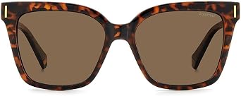 Polaroid Unisex Pld 6192/S Sunglasses (pack of 1)