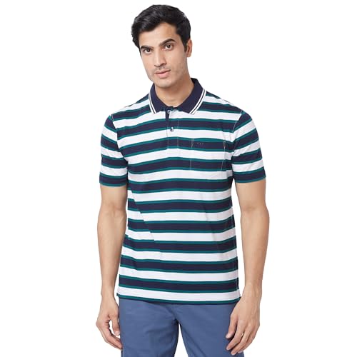 Image of Colorplus Men's Pure Cotton Stripe Pattern Classic Fit Polo Neck Half Sleeve Casual T-Shirt