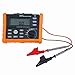 PEAKMETER MS5203 Digital and Analog Display 50-1000V Insulation Tester Meter
