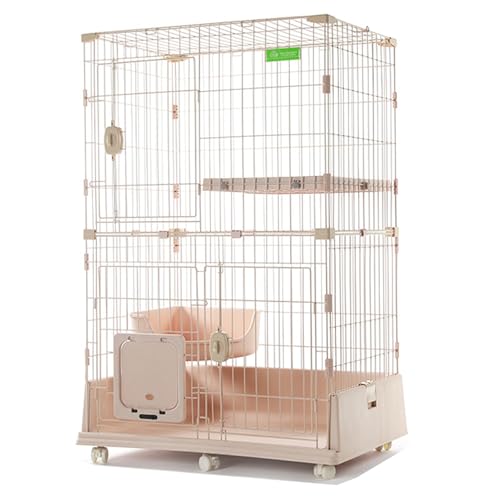 Cage pour chat extérieure et condo pour chat intérieur à étages