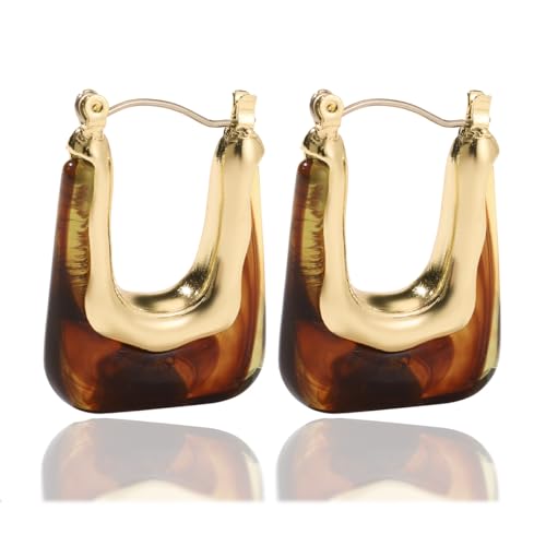 Acrylic Hoop Earrings Colour Resin Earrings Geometric Acrylic Minimalist Clear Chunky Hoops Earrings for Women